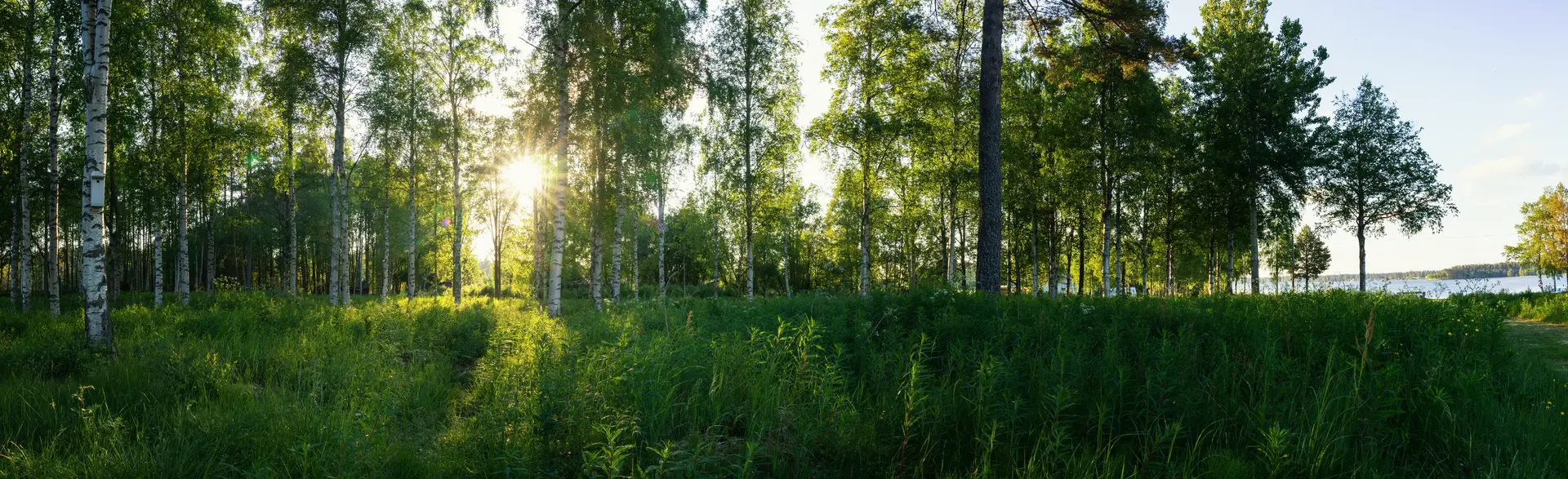 Experter på mekanisk frånluft i Linköping